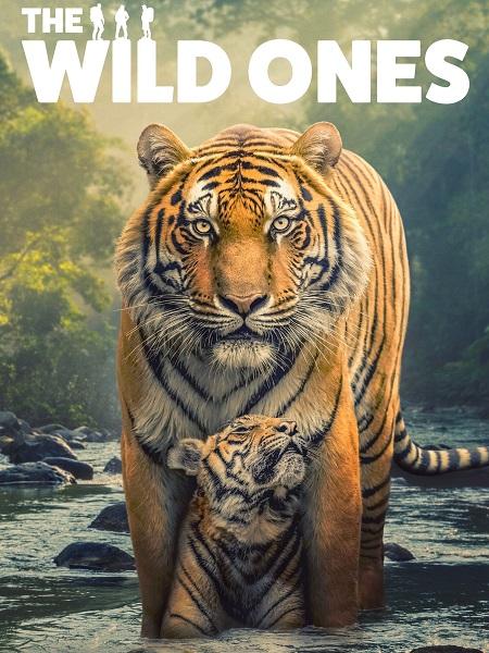 مسلسل The Wild Ones الموسم الاول الحلقة 3 مترجمة