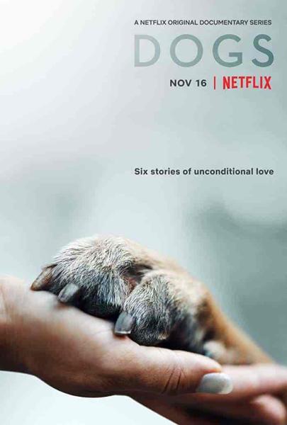 مسلسل Dogs الموسم الاول الحلقة 6 والاخيرة مترجمة
