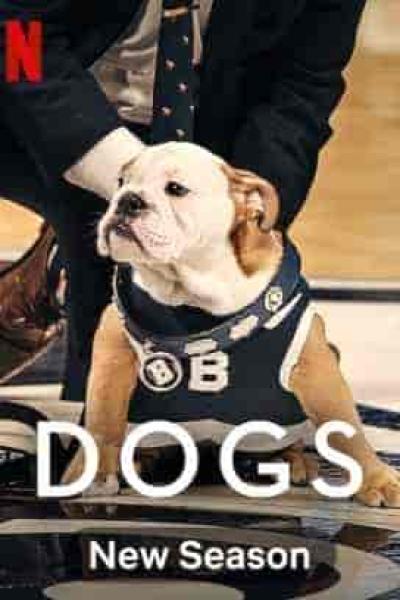 مسلسل Dogs الموسم الثاني الحلقة 4 والاخيرة مترجمة