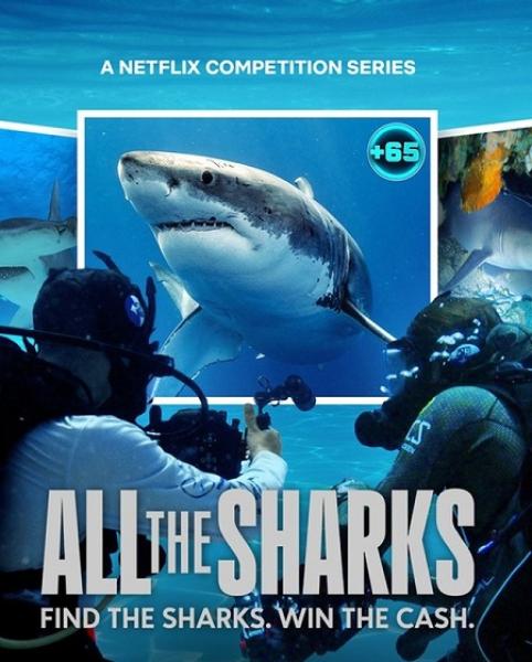 مسلسل All the Sharks الموسم الاول الحلقة 3 مترجمة