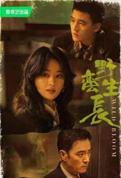 مسلسل النمو الوحشي Wild Bloom الحلقة 13 مترجمة
