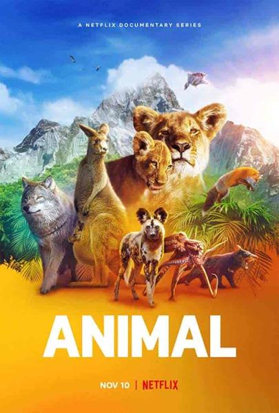 مسلسل Animal الموسم الاول الحلقة 2 الثانية مترجمة