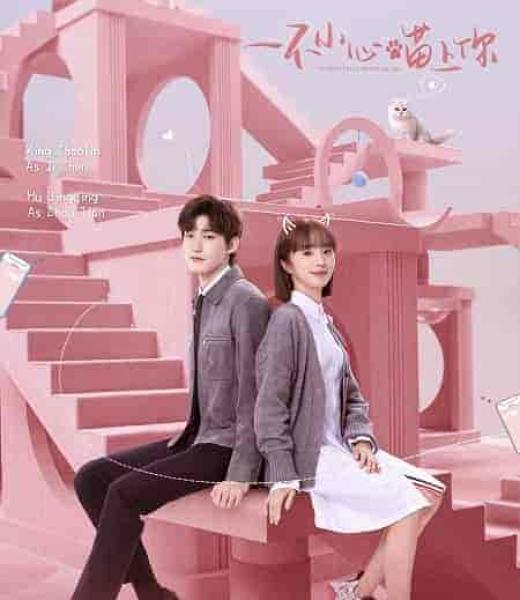 مسلسل مؤاء مؤاء يرتبط بالحب Accidentally Meow on You الحلقة 3 مترجمة