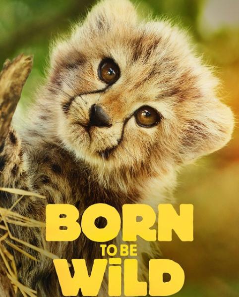 مسلسل Born to be Wild الموسم الاول الحلقة 4 مترجمة
