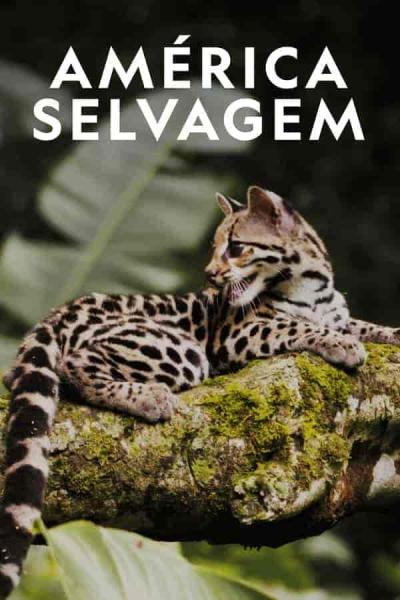 مسلسل Wild Latam الموسم الاول الحلقة 6 السادسة مترجمة
