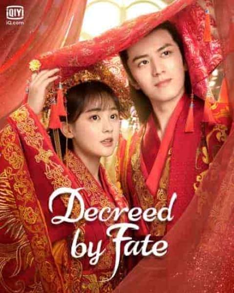 مسلسل بحكم القدر Decreed by Fate الحلقة 4 مترجمة